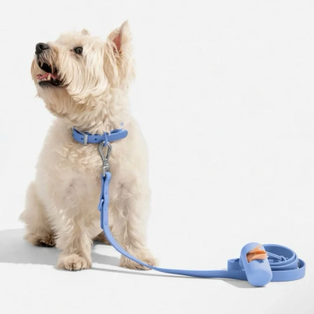 Wild One Dog Collar - M (12-15